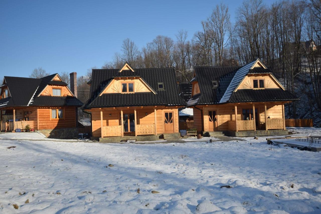 Dolina Villa Закопане Екстериор снимка